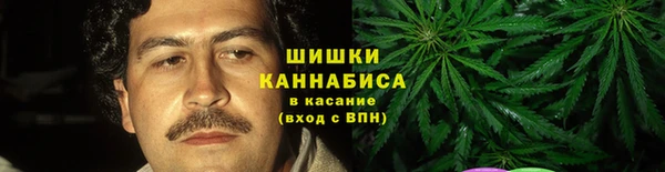 твердый Арсеньев