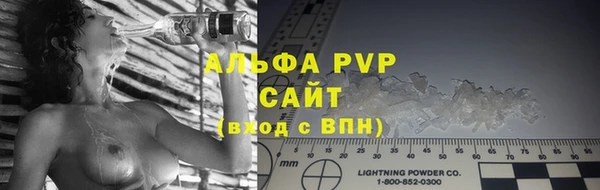твердый Арсеньев