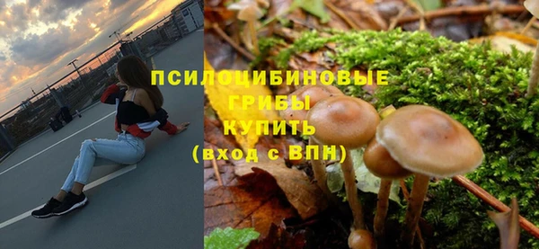твердый Арсеньев
