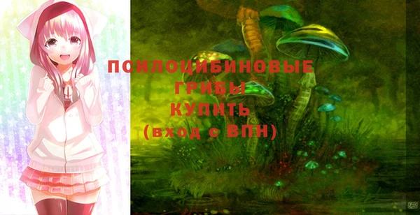 твердый Арсеньев