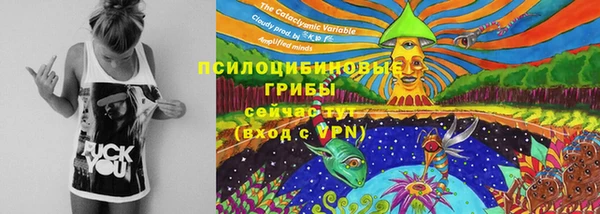 прущие грибы Балахна