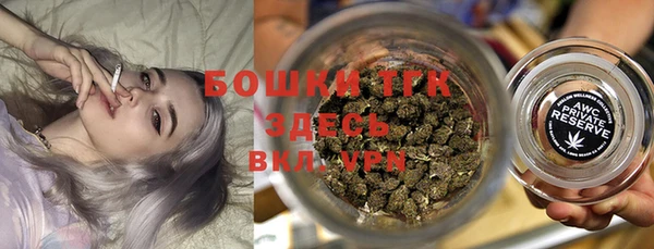 твердый Арсеньев