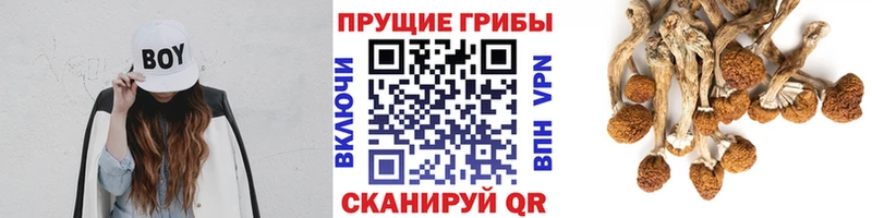 Галлюциногенные грибы мухоморы Камбарка